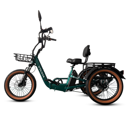 VTUVIA E-Cozy Electric Trike