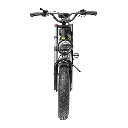 ⚡ BLJ-F4 RetroCruze™ – 20" Fat Tire Urban Electric Bike (1500W Dual Motor)